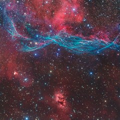 Vela Supernova Canvas 16  X 16  