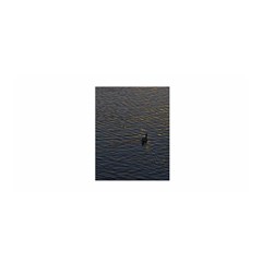 Lonely Duck Swimming At Lake At Sunset Time Satin Wrap by dflcprints