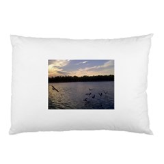 Intercoastal Seagulls 3 Pillow Cases (two Sides) by Jamboo