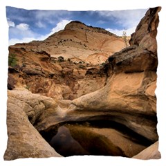 Capital Reefs Large Cushion Cases (one Side)  by trendistuff