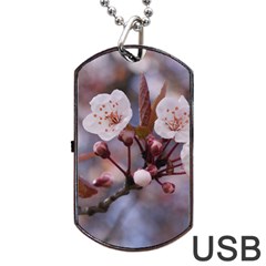 Cherry Blossoms Dog Tag Usb Flash (two Sides)  by trendistuff