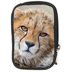 Leopard Laying Down Compact Camera Cases by trendistuff