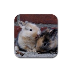 Small Baby Rabbits Rubber Square Coaster (4 Pack)  by trendistuff