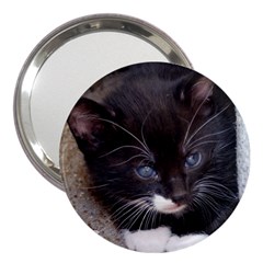 Kitty In A Corner 3  Handbag Mirrors by trendistuff