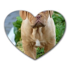 Cute Wrinkly Puppy Heart Mousepads by trendistuff