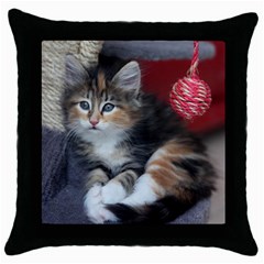 Comfy Kitty Throw Pillow Cases (black) by trendistuff
