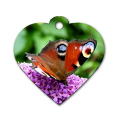 Peacock Butterfly Dog Tag Heart (two Sides) by trendistuff