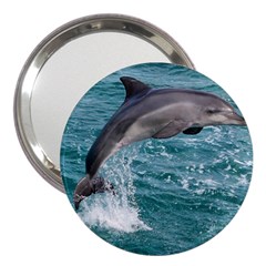 Dolphin 3  Handbag Mirrors by trendistuff