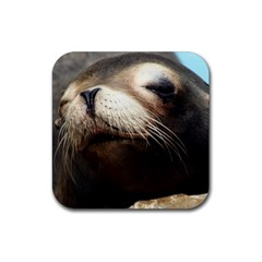 Cute Sea Lion Rubber Coaster (square)  by trendistuff