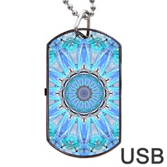Sapphire Ice Flame, Light Bright Crystal Wheel Dog Tag Usb Flash (one Side) by DianeClancy
