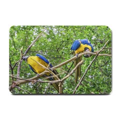 South American Couple Of Parrots Small Doormat  by dflcprints