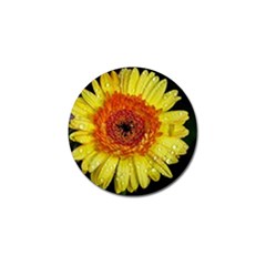 Yellow Flower Close Up Golf Ball Marker by MichaelMoriartyPhotography
