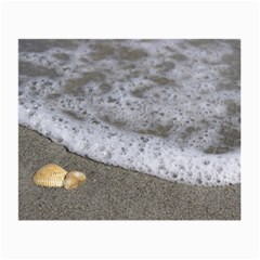 Seashell In Waves Glasses Cloth (small) by PhotoThisxyz