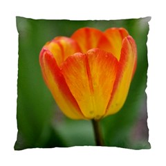 Orange Tulip Standard Cushion Case (one Side) by PhotoThisxyz