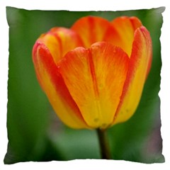 Orange Tulip Large Cushion Case (one Side) by PhotoThisxyz