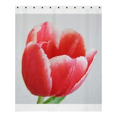 Tulip Red Watercolor Painting Shower Curtain 60  X 72  (medium) 