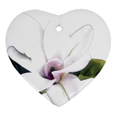 White Magnolia Pencil Drawing Art Heart Ornament (2 Sides) by picsaspassion