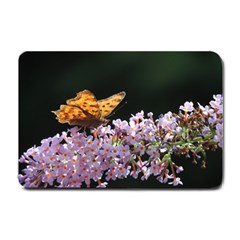 Butterfly Sitting On Flowers Small Doormat  by picsaspassion