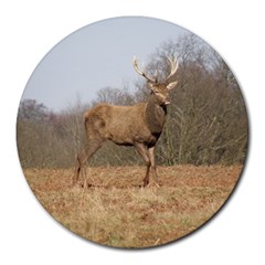 Red Deer Stag On A Hill Round Mousepads by GiftsbyNature