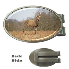 Red Deer Stag On A Hill Money Clips (oval)  by GiftsbyNature