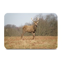 Red Deer Stag On A Hill Plate Mats by GiftsbyNature