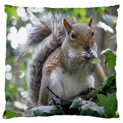 Gray Squirrel Eating Sycamore Seed Large Cushion Case (one Side) by GiftsbyNature