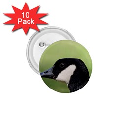 Goose Bird In Nature 1 75  Buttons (10 Pack) by picsaspassion