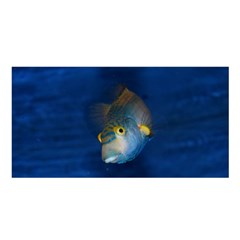 Fish Blue Animal Water Nature Satin Shawl by Amaryn4rt