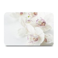 Orchids Flowers White Background Plate Mats by Amaryn4rt