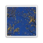 Poplar Foliage Yellow Sky Blue Memory Card Reader (Square) 