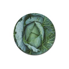 Bright Cabbage Color Dew Flora Magnet 3  (round) by Nexatart