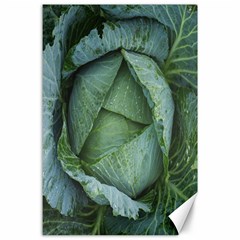 Bright Cabbage Color Dew Flora Canvas 24  X 36  by Nexatart