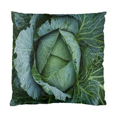 Bright Cabbage Color Dew Flora Standard Cushion Case (one Side) by Nexatart