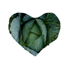 Bright Cabbage Color Dew Flora Standard 16  Premium Heart Shape Cushions by Nexatart