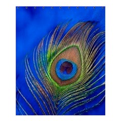 Blue Peacock Feather Shower Curtain 60  X 72  (medium) 