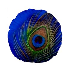 Blue Peacock Feather Standard 15  Premium Flano Round Cushions by Amaryn4rt