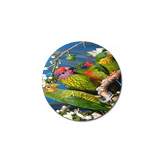 Beautifull Parrots Bird Golf Ball Marker by Nexatart