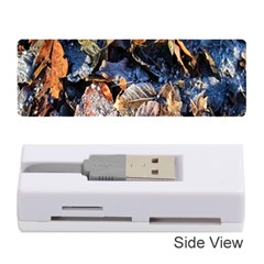 Frost Leaves Winter Park Morning Memory Card Reader (stick)  by Nexatart