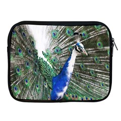 Animal Photography Peacock Bird Apple Ipad 2/3/4 Zipper Cases by Amaryn4rt