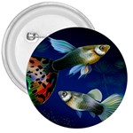 Marine Fishes 3  Buttons