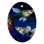 Marine Fishes Ornament (Oval)