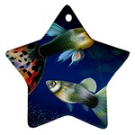 Marine Fishes Ornament (Star)