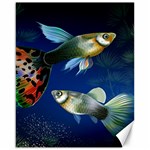 Marine Fishes Canvas 16  x 20  