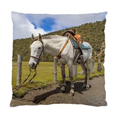 White Horse Tied Up At Cotopaxi National Park Ecuador Standard Cushion Case (one Side) by dflcprints