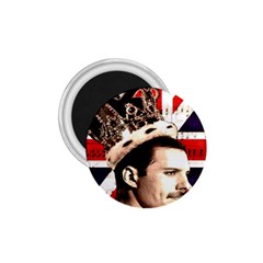 Freddie Mercury 1 75  Magnets by Valentinaart