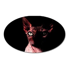 Sphynx Cat Oval Magnet by Valentinaart