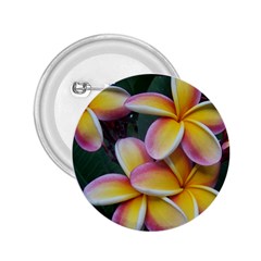 Premier Mix Flower 2 25  Buttons by alohaA