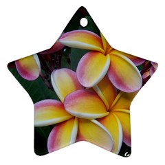 Premier Mix Flower Star Ornament (two Sides) by alohaA