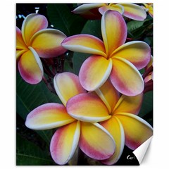 Premier Mix Flower Canvas 8  X 10  by alohaA