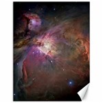 Orion Nebula Canvas 12  x 16  